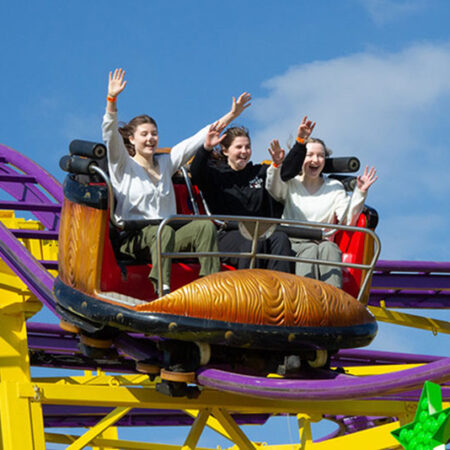 theme-park-coaster
